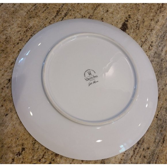 Rosenthal Continental JET ROSE 10.5" Dinner Plate Raymond Loewy Gray Rose - Picture 6 of 8